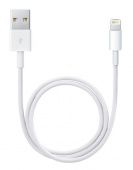   Apple Apple Lightning to USB Cable MD819ZM/A (2 m)