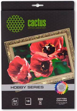 Холст Cactus CS-СA426010 Холст Cactus CS-СA426010