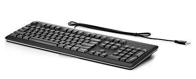 Клавиатура Hewlett Packard USB Keyboard Rus/Eng QY776AA Клавиатура Hewlett Packard USB Keyboard Rus/Eng QY776AA