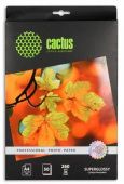 Cactus Prof CS-HGA426050