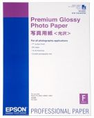  Epson Premium Glossy Photo Paper C13S042091