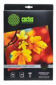  Cactus CS-HGA428020