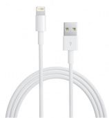   Apple Apple Lightning to USB Cable MD818ZM/A