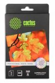  Cactus CS-HGA626050