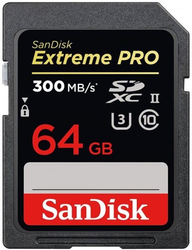 Карта памяти SDXC SanDisk 64GB UHS-3 SDSDXPK-064G-GN4IN