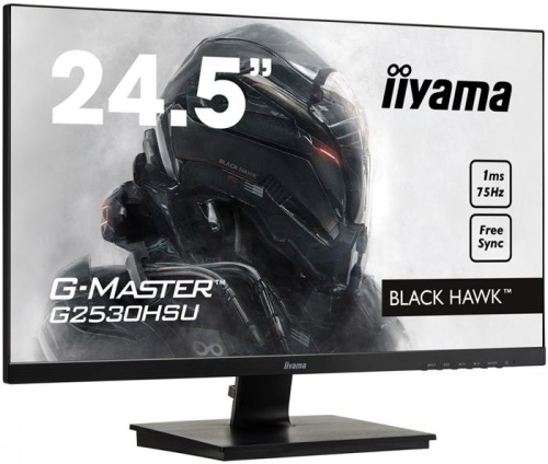 Монитор Iiyama G-Master G2530HSU-B1 фото 2