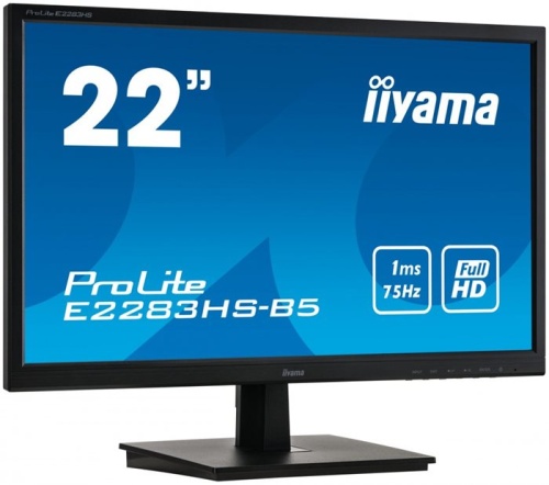 Монитор Iiyama E2283HS-B5 фото 2