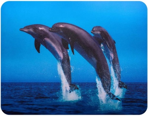 Коврик Buro BU-M40083 Мини рисунок/дельфины Коврик Buro BU-M40083 Мини рисунок/дельфины