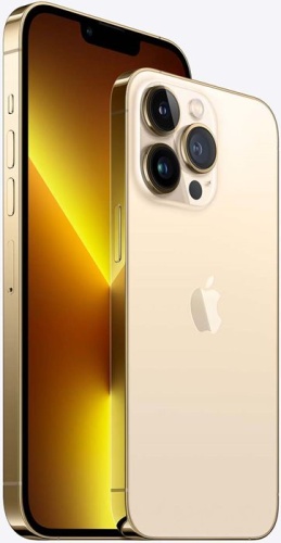 Смартфон Apple iPhone 13 Pro Max 256Gb Gold (MLMG3RU/A) фото 2