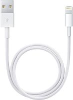 Переходник для Apple Apple Lightning to USB cable ME291ZM/A (0.5 m)