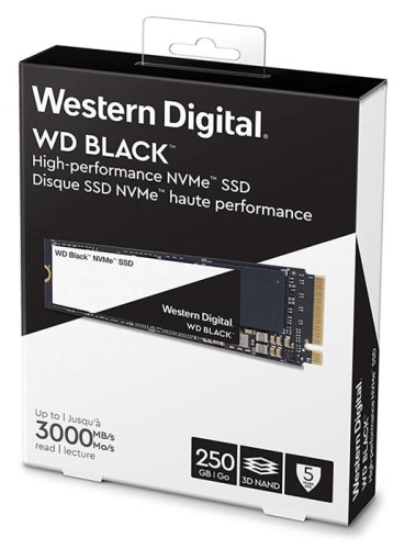 Накопитель SSD M.2 Western Digital 250Гб Black WDS250G2X0C фото 2