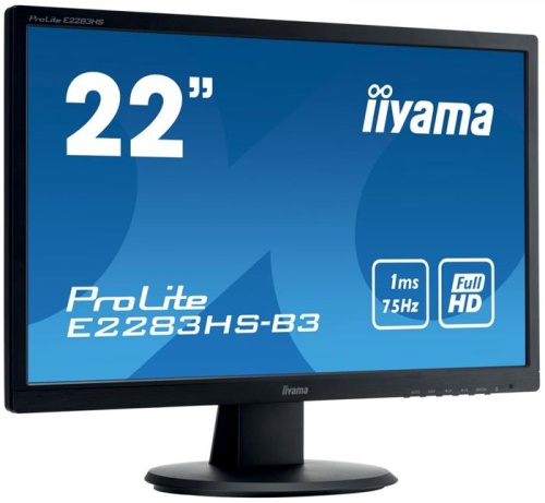 Монитор Iiyama ProLite E2283HS-B3 фото 2