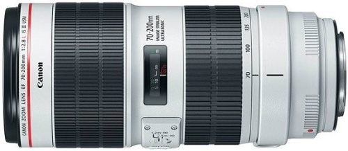 Объектив Canon EF IS III USM (3044C005) фото 2