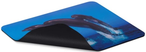 Коврик Buro BU-M40083 Мини рисунок/дельфины фото 2 Коврик Buro BU-M40083 Мини рисунок/дельфины фото 2