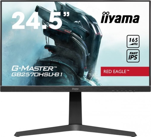 Монитор Iiyama GB2570HSU-B1 Black