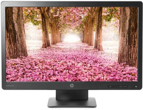 Монитор Hewlett Packard ProDisplay P232 K7X31AA