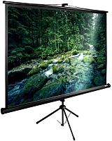 Экран проекционный Cactus TriExpert CS-PSTE-220х165-BK CS-PSTE-220Х165-BK