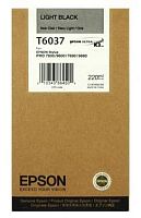 Оригинальный струйный картридж Epson T603700 C13T603700