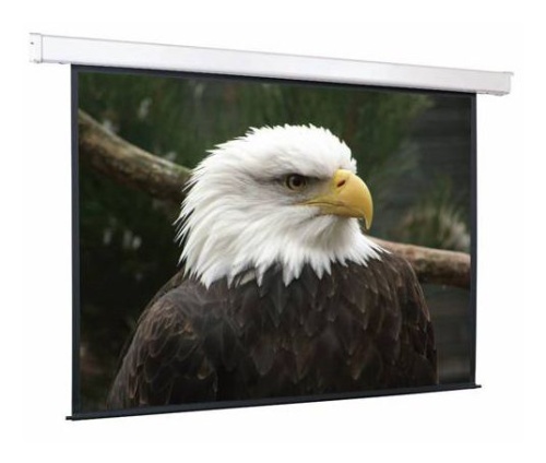 Экран с электроприводом ScreenMedia Champion SCM-16906 305*305 MW (16:9)