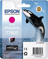 Оригинальный струйный картридж Epson T760340 Magenta C13T76034010