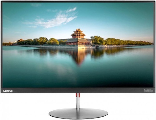 Монитор Lenovo ThinkVision X24-20 61BDGAT3EU