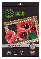 Холст Cactus CS-СGA426010