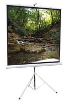 Экран проекционный ScreenMedia Apollo 203*153 MW SAM-4303