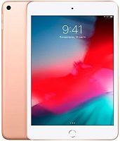 Планшет Apple 7.9 iPad mini Wi-Fi 256GB Gold 2019 (MUU62RU/A)