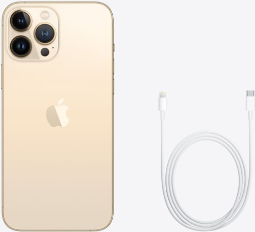 Смартфон Apple iPhone 13 Pro Max 256Gb Gold (MLMG3RU/A) фото 4