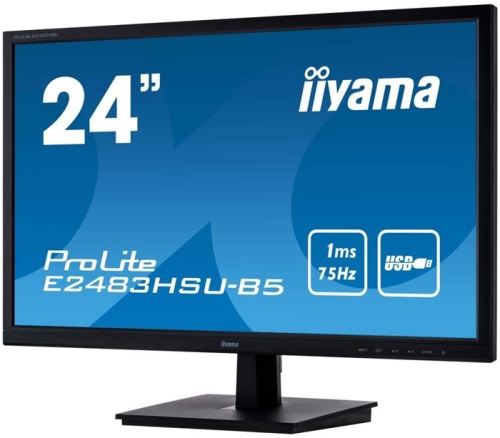 Монитор Iiyama ProLite E2483HSU-B5 черный фото 2