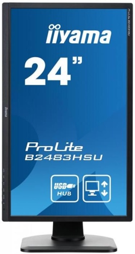 Монитор Iiyama ProLite B2483HSU-B1DP фото 4