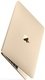  Apple MacBook 12.0 Retina MNYL2RU/A