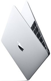  Apple MacBook 12.0 Retina MNYJ2RU/A