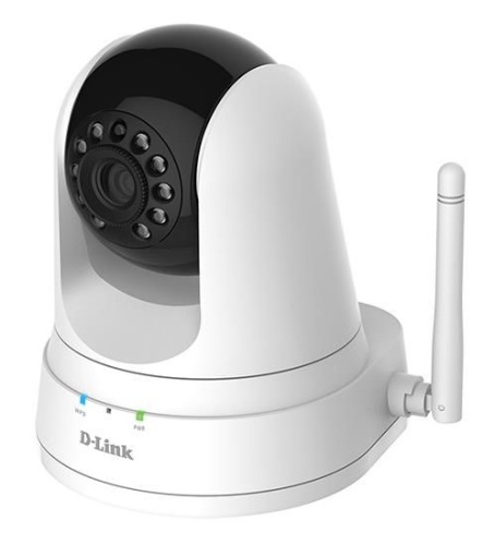 IP-камера D-Link DCS-5000L/A1A фото 3