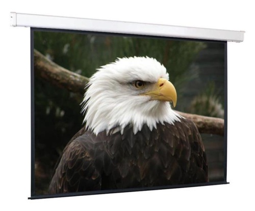 Экран проекционный ScreenMedia Goldview SGM-4305 274*206 MW Экран проекционный ScreenMedia Goldview SGM-4305 274*206 MW