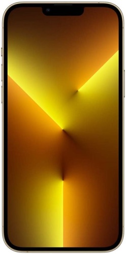 Смартфон Apple iPhone 13 Pro Max 256Gb Gold (MLMG3RU/A) фото 3