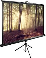 Экран проекционный Cactus TriExpert CS-PSTE-180х135-BK CS-PSTE-180Х135-BK