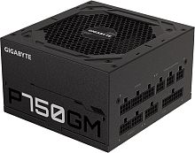 Блок питания GIGABYTE 750W (GP-P750GM)