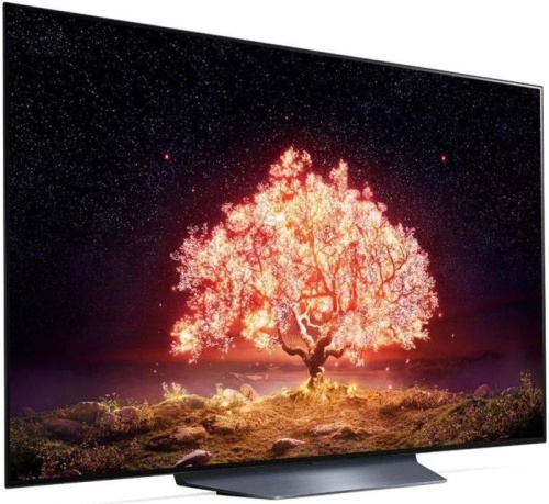 Телевизор ЖК LG OLED55B1RLA серебристый фото 3