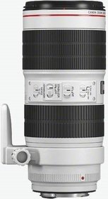Объектив Canon EF IS III USM (3044C005)