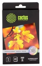  Cactus Prof CS-HGA626020