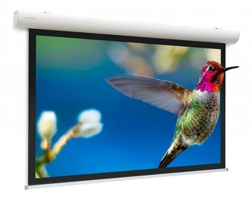Экран с электроприводом Projecta Elpro Concept 173x300 см (131 ) Matte White 10103518