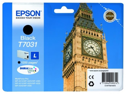 Оригинальный струйный картридж Epson T70314010 C13T70314010