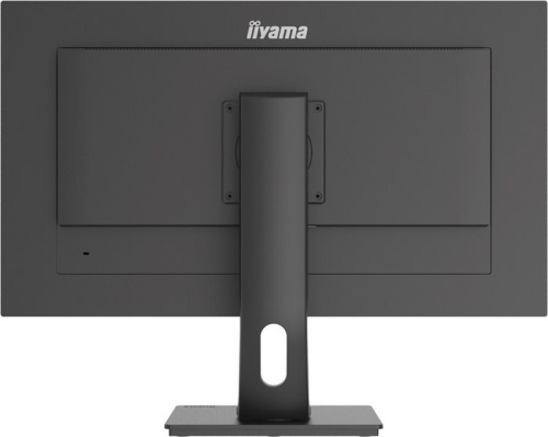 Монитор Iiyama ProLite XUB2893UHSU-B5 черный фото 6