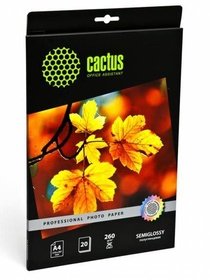  Cactus CS-SGA426020