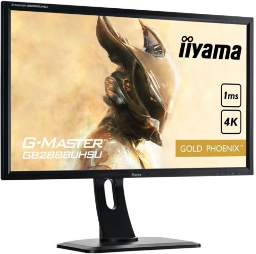 Монитор Iiyama ProLite B2875UHSU-B1 черный фото 2