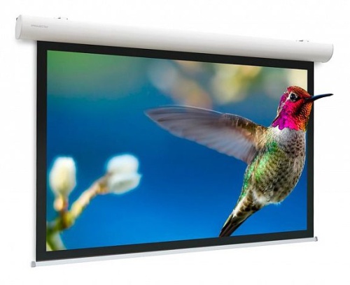 Экран с электроприводом Projecta Elpro Concept 225x400 см (180 ) Matte White 10101581