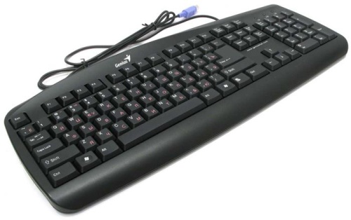 Клавиатура Genius KB-110 черный KB-110-PS/2