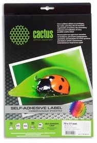  Cactus -30700370