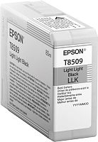 Оригинальный струйный картридж Epson T850900 LLBlack UltraChrome HD ink C13T850900